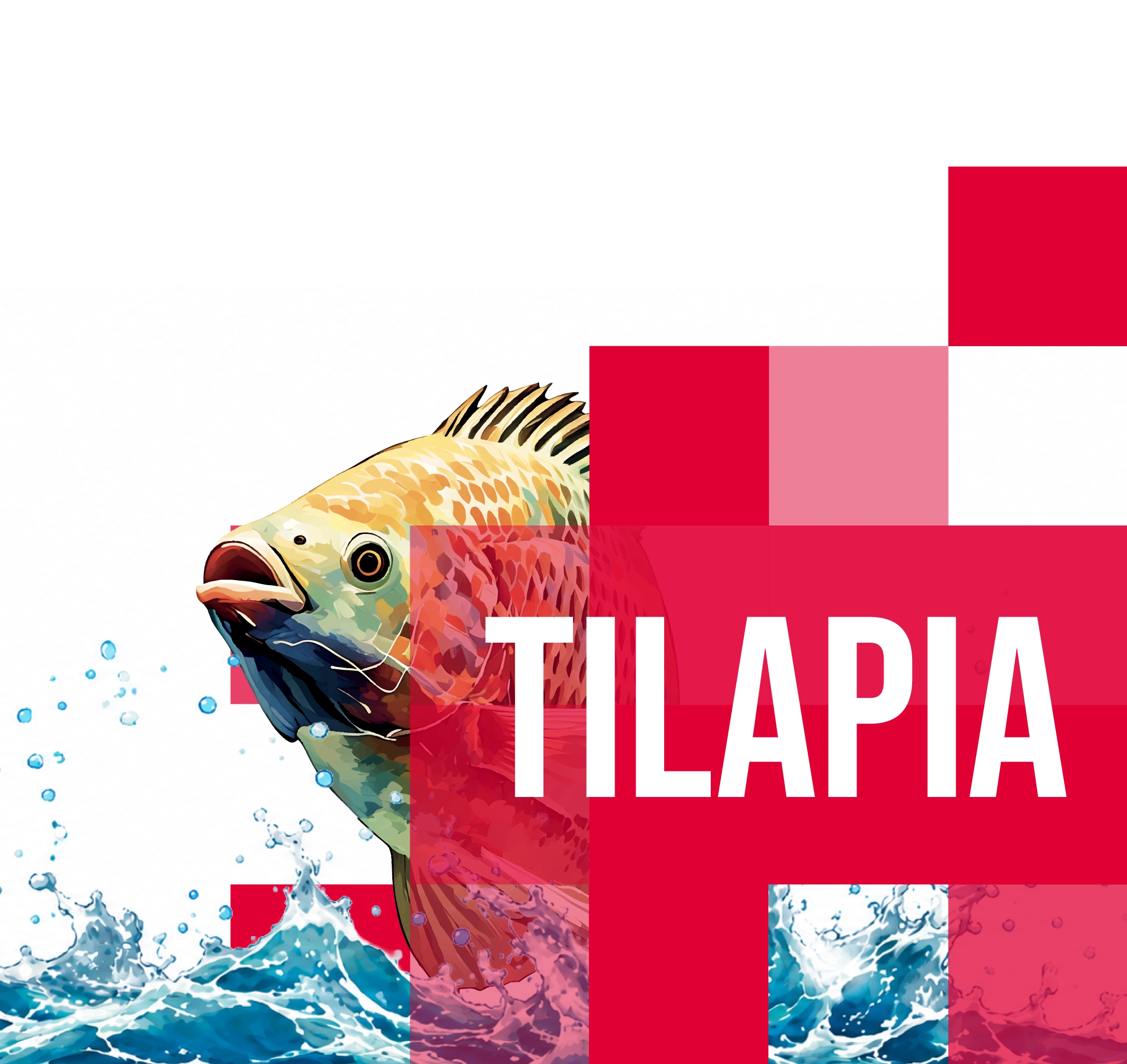 Nutrición que crece bajo el agua — Tilapia, Trucha, Bagre