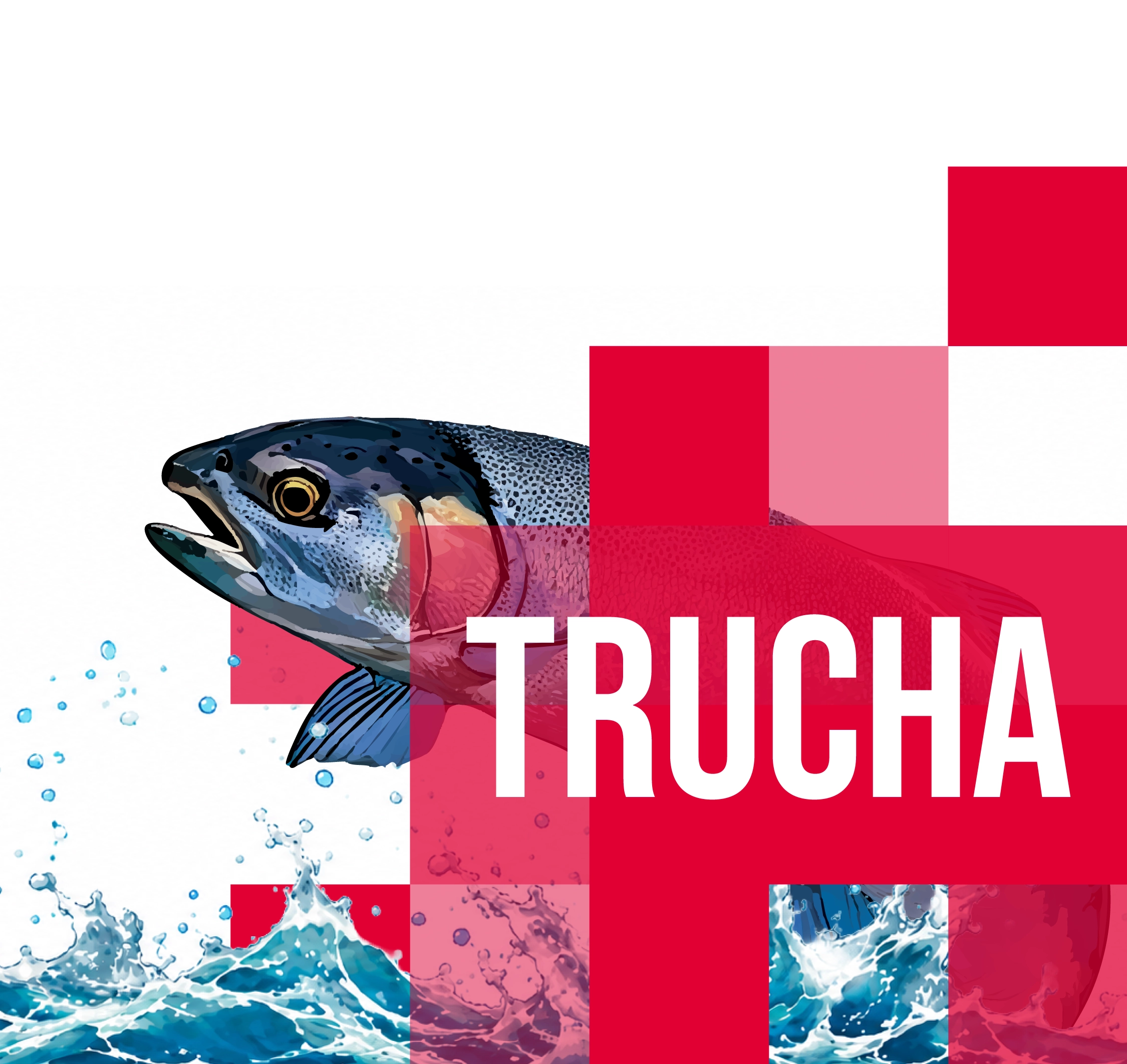 Nutrición que crece bajo el agua — Tilapia, Trucha, Bagre
