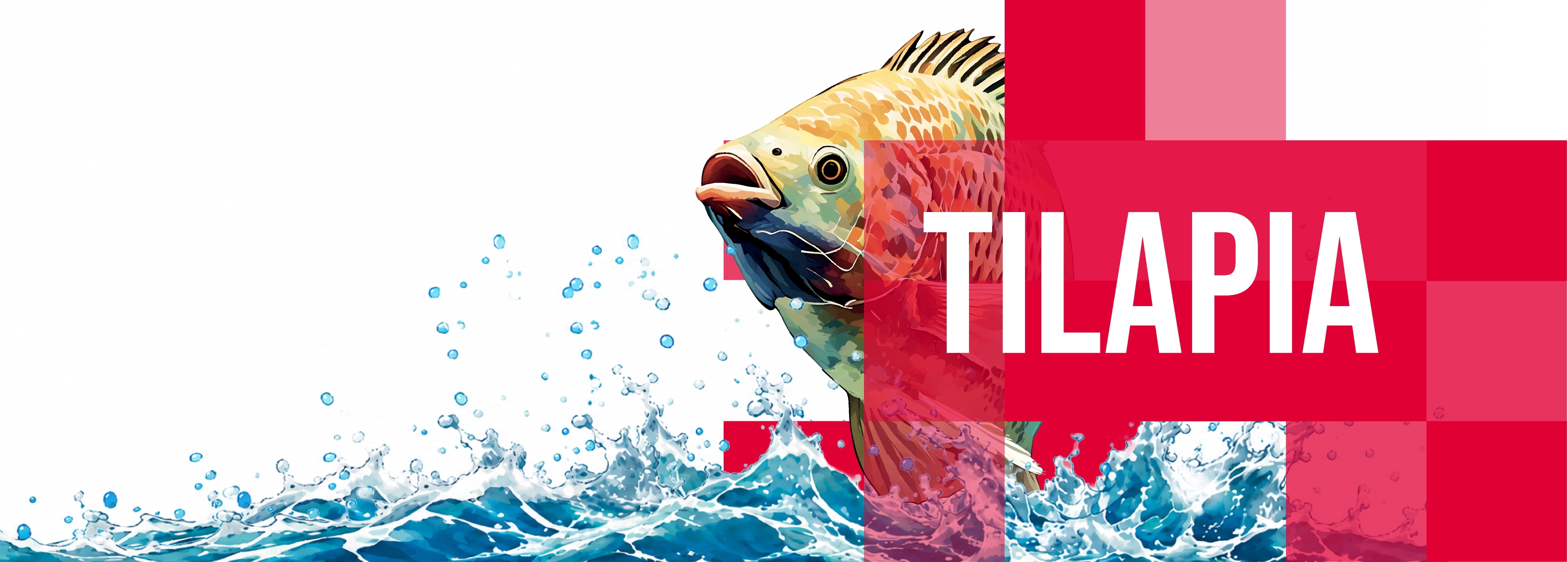 Nutrición que crece bajo el agua — Tilapia, Trucha, Bagre
