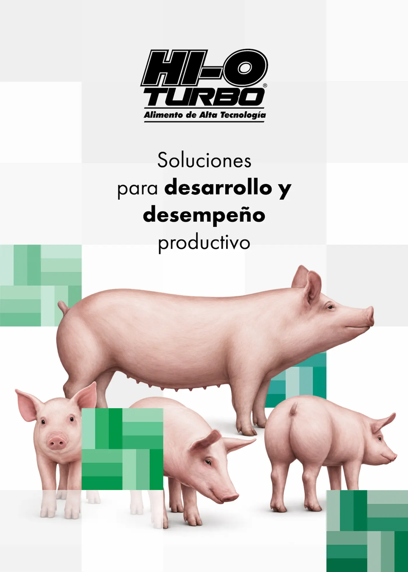 Cerdos en una granja