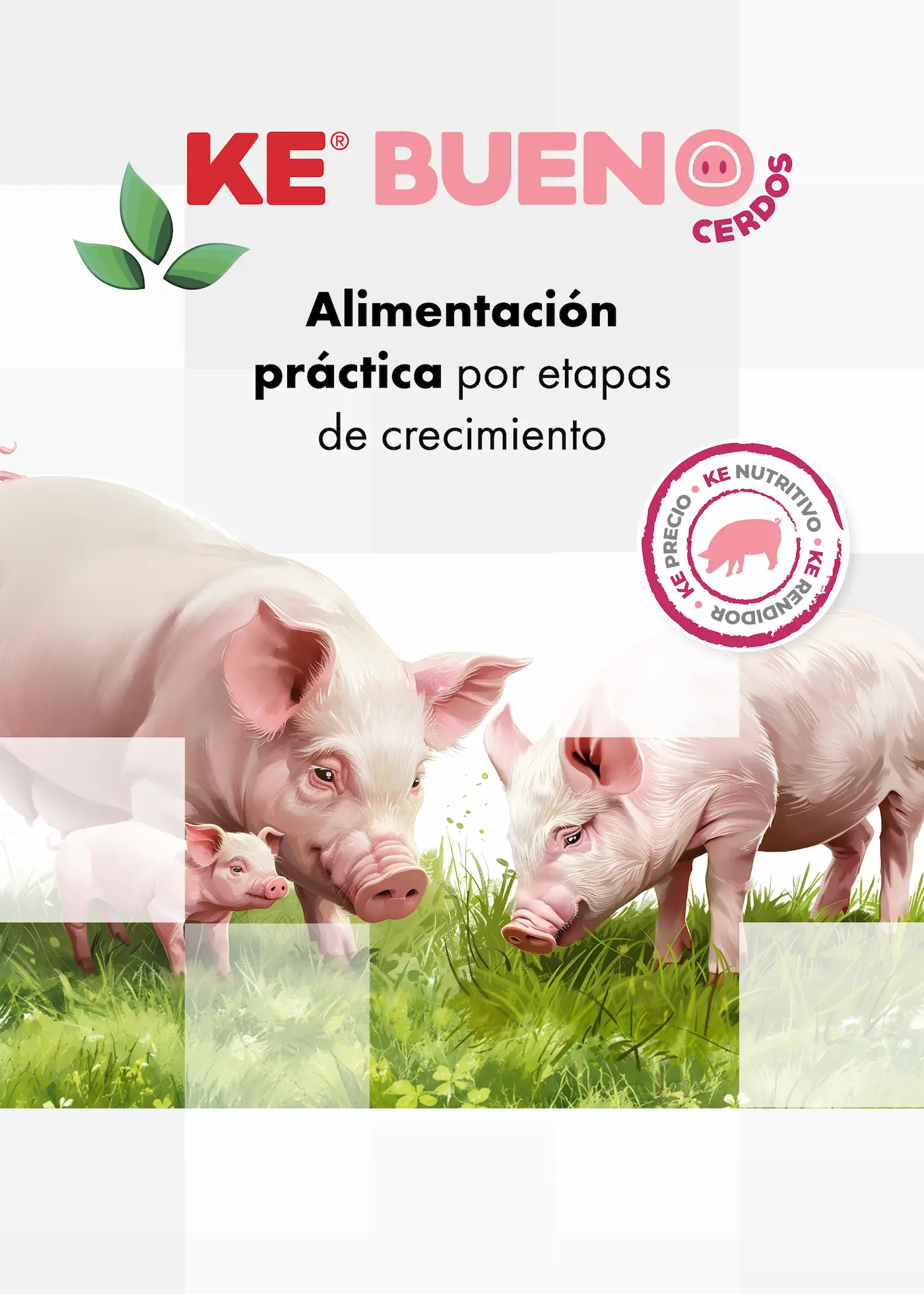 Cerdos en una granja