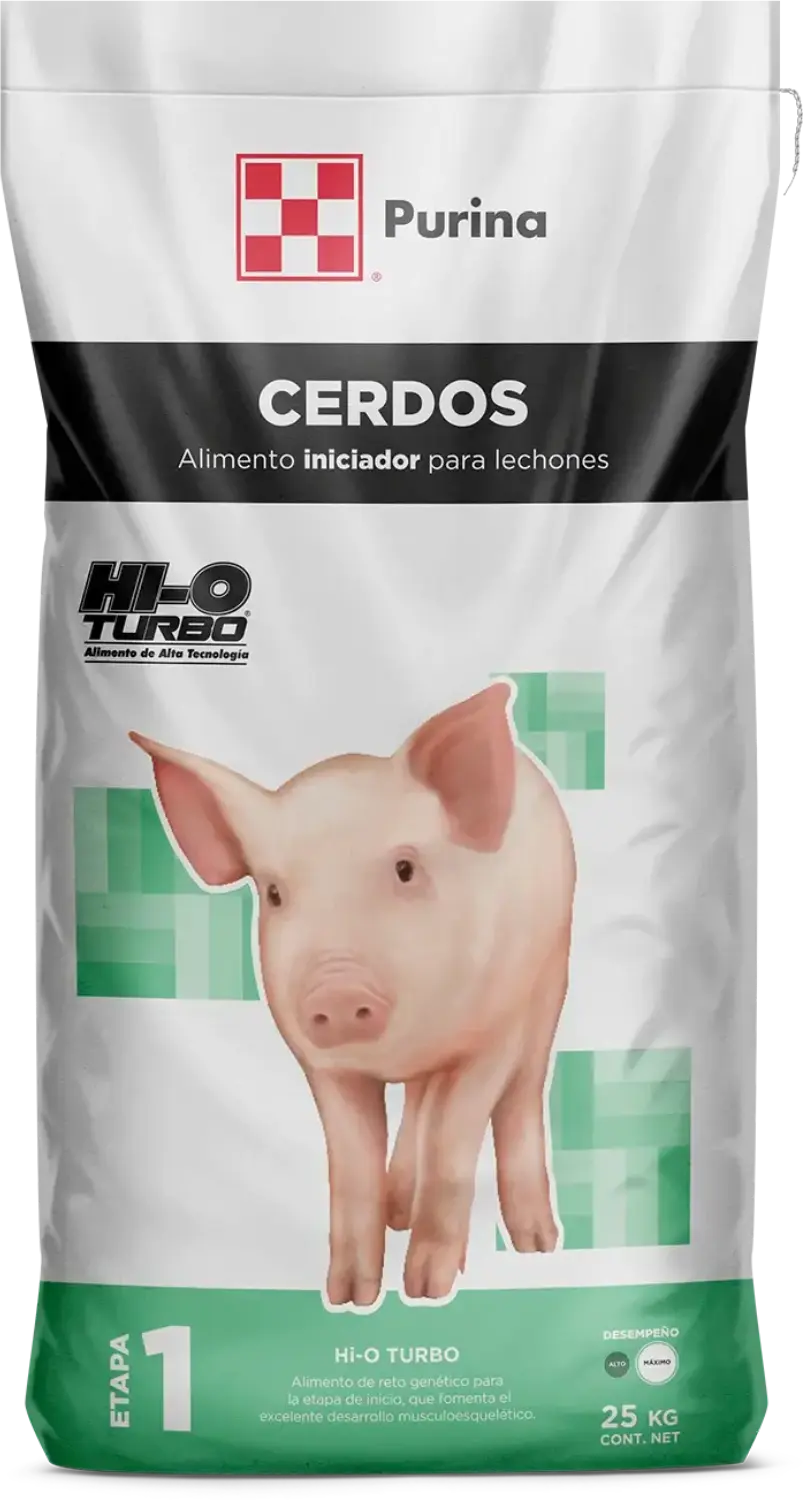 Hi-O Turbo etapa uno