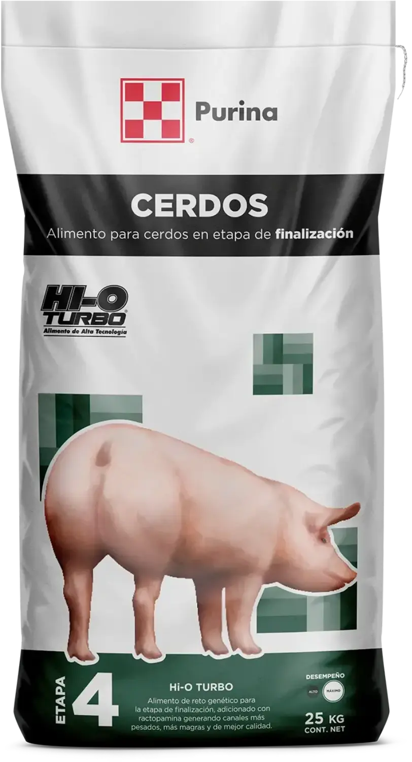 Hi-O Turbo etapa cuatro