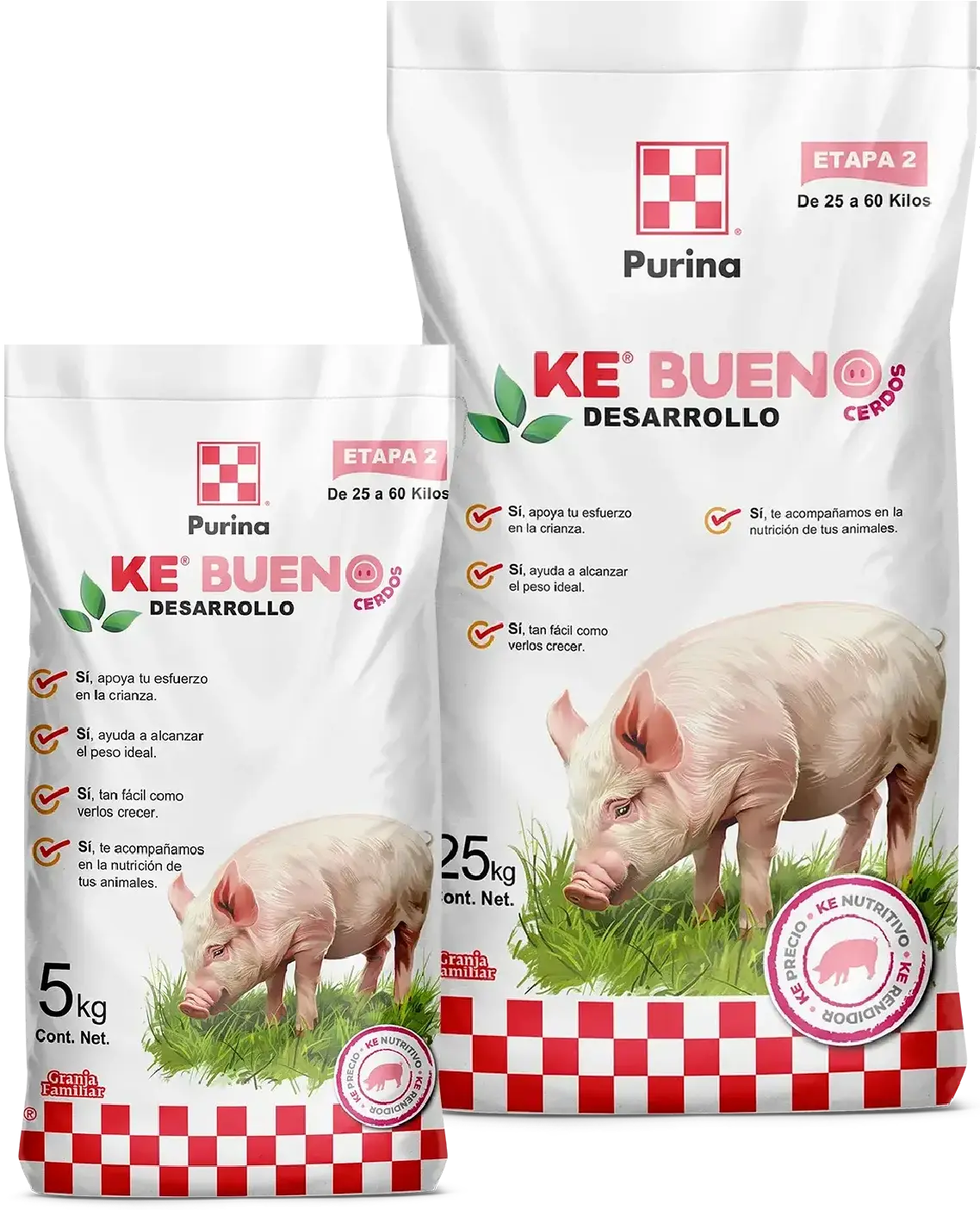 Ke Bueno Desarrollo etapa dos