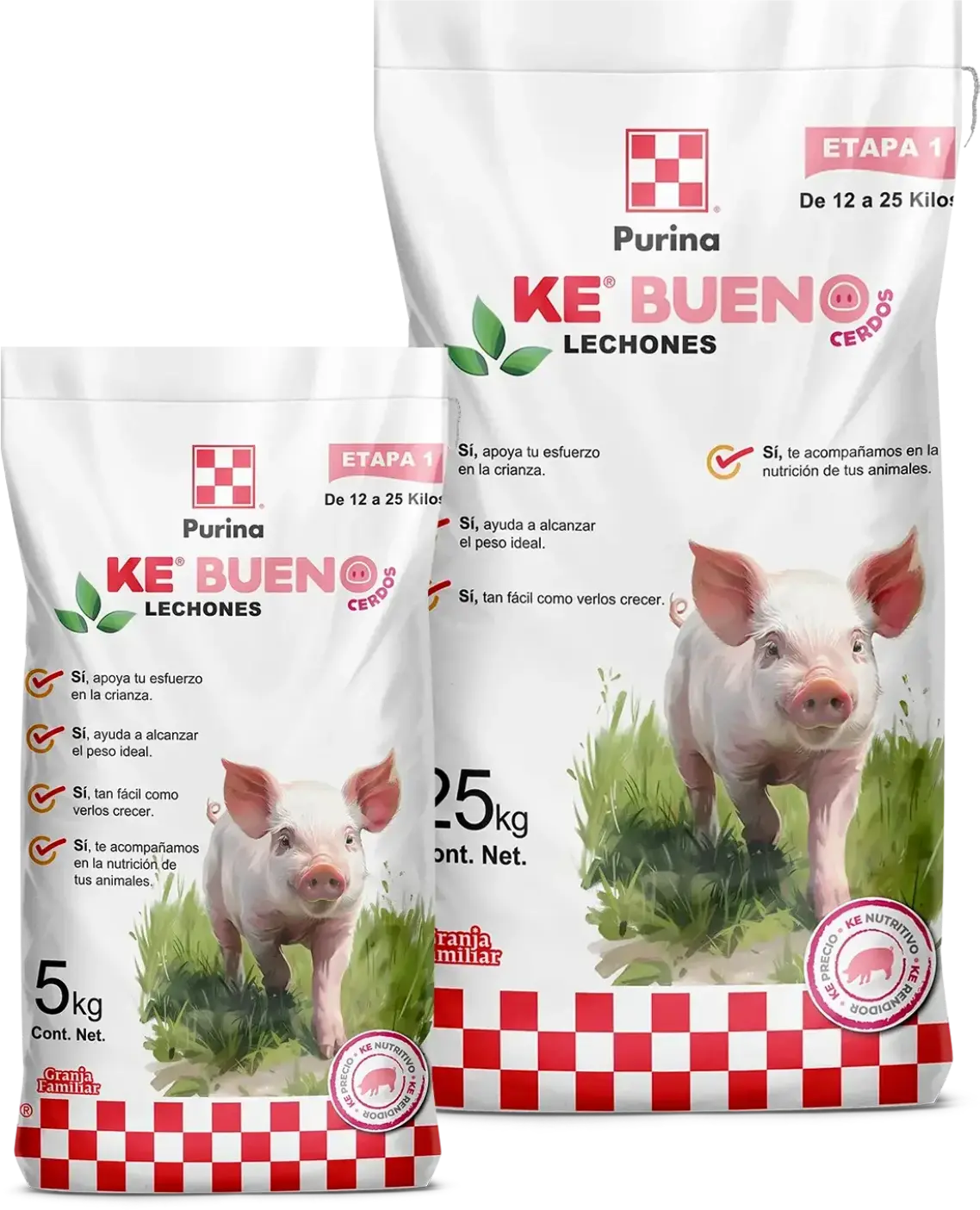 Ke Bueno Lechones etapa uno